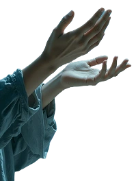 Hands